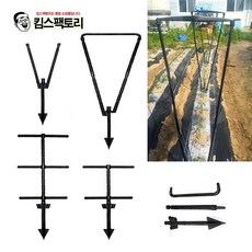 y자고추대