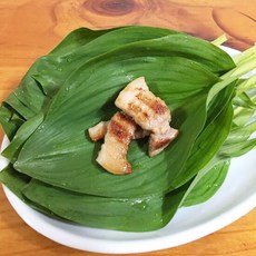 당일수확 산지직송 제철 영월 생 명이나물 2kg