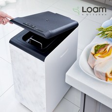 [로움] Loam 가정용 친환경 음식물 처리기 FR-M550, 단품