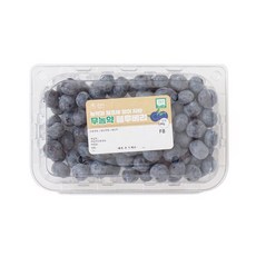생블루베리200g