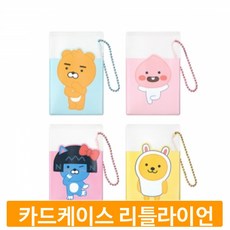 카드 포켓케이스 리틀라이언 캐릭터 교통카드 파우치