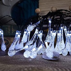 비스트로캐리어