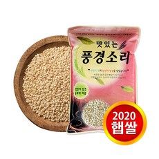 현대농산 2020년산 햅쌀 현미찹쌀 5kg, 1개
