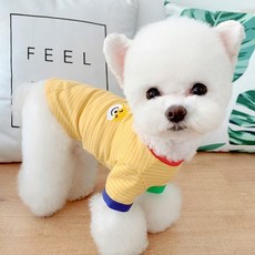 feee56a1ad568d473b695d2d8cc074e55713a380a8925f42cb319c9b4c6b.jpg