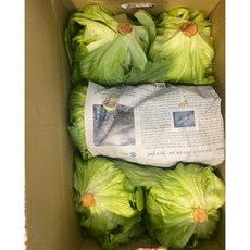 국내산 산지직송 양상추 벌크 못난이 양상추 매장사용, 1박스, 4kg