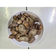 왕토란종근 중자크기 10개 왕토란 타로 토란종자 토함산자연농원, 특대자(10개), 35g
