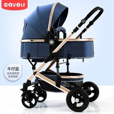 잉글레시나일렉타