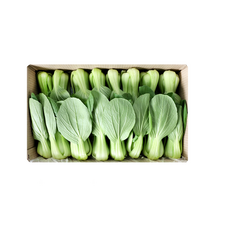 케이푸드_국내산 청경채 4kg, 4개