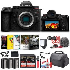 파나소닉 루믹스 G9 II 마이크로 4/3 미러리스 카메라 25.2MP (본체전용) (DC-G9M2BODY) + 64GB 카드 2매 DMW-BLK22 배터리 코렐 포토 소프트웨어