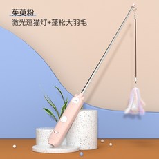 레이저포인트반려동물