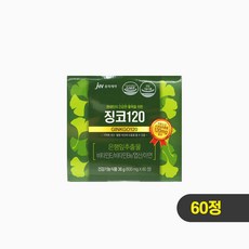 중외제약 징코120, 60정, 1개