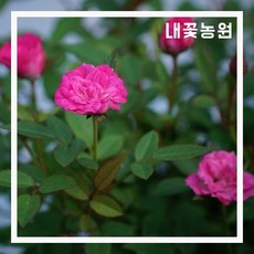 d70224900b89cf0707d81d33029b184f957e30e8adc11271e64ada430373.jpg