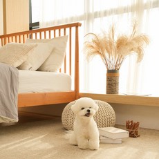 강아지러그-추천-상품