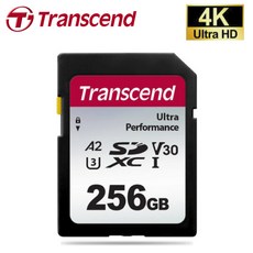 트랜센드 SONY 소니 HDR-CX900 / HDR-CX455 캠코더전용 256G SD메모리카드 Class10 4K촬영지원, 256GB