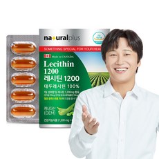 내츄럴플러스 100% 대두 레시틴 60캡슐 / 식물성 인지질60% 콜레스테롤 개선, 1박스(2개월분), 60정