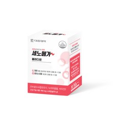 세노이의가르침
