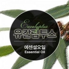  에센셜오일 유칼립투스 Eucalyptus E.O, [ 1L ] 