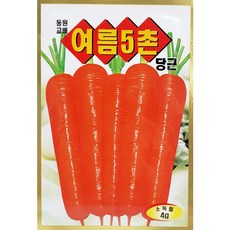 사라상회깻잎