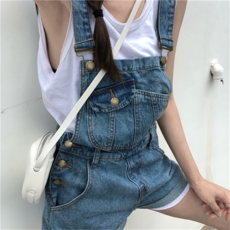 베트남한국사전