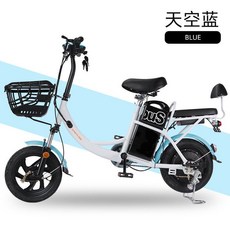 서울전기자전거대여