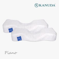 가누다 블루라벨 피아노 2개세트 메모리폼 경추 기능성 베개, 단품, 2개