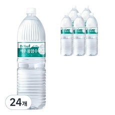 오리온제주용암수, 2L, 24개