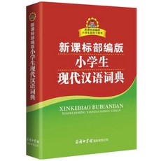 중국어사전 진짜중국어 중국취업 중국어인강 중국어학원 생활중국어 초등학생을위한 현대 사전