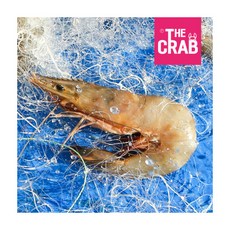 [더꽃게] 냉동 자연산 대하 2kg (80미전후), 상세 설명 참조