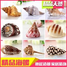 블루가재
