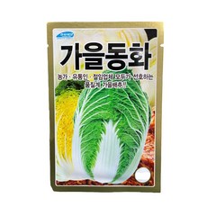 다듬배추