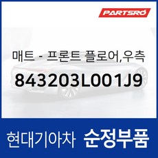 순정 카매트(조수석) (843203L001J9) 그랜저TG 현대모비스부품몰, 1개