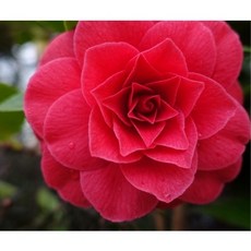 100d984a678bff7258288d4eb1cd616e607622360a4a810dd4c5ec310ec5.jpg
