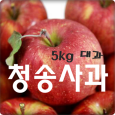 [2023년 '햇'사과] 싱싱한 산지의 맛 그대로~ 부사사과, 1박스, 가정용 사과 5kg 대과