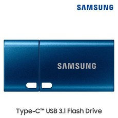 삼성전자 USB Flash Drive Type-C MUF-128DA/APC, 128GB