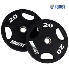 robust원판
