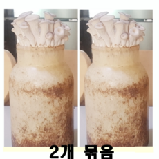 식용 애완 화분 재료 요리 관찰 느타리 버섯 배지 2개 묶음 면세 어린이집 키우기 재배 베지 유치원 대량 수업 일기 과학 교실 초등학교 전 볶음 무침 활용 좋은점 효능 유치원 맛