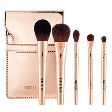 포니이펙트브러쉬