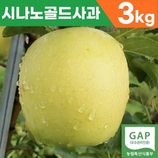 아리수사과묘목