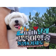 일라토퍼