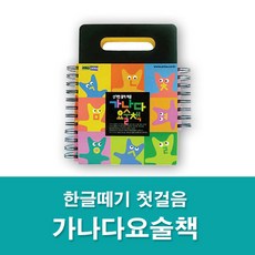 에크하르트톨레의이순간의나(큰글자책)