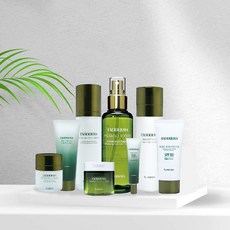 엑소더마