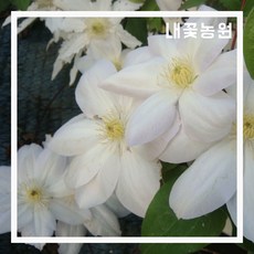 bee9191a4348ce899741d46bdde4d1277bc28fe4c206fa982cd060c3eaae.jpg