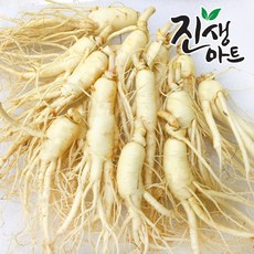 후금이네 가정용 햇 수삼 세척인삼, 1개, 700g 12뿌리-16뿌리