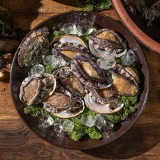해빛 산지직송 완도참전복 최고급전복 활전복, 1세트, 완도 실속형 참전복 35미 내외 1kg