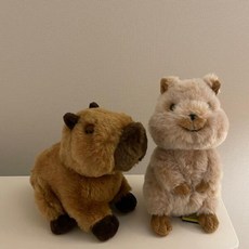 아트박스/콤비니 [선레몬] 행복한 쿼카 인형, 행복한쿼카, 1개
