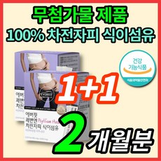 차전차피 차전자피 자전차피 식이섬유 쾌변 화이버 수용성 섬유소 분말 가루 파우더 질경이 씨앗 무첨가물, 2박스(2개월분), 2개, 180g