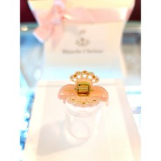 장폴클라리쎄집게핀