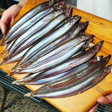 특A급 선별 제철 햇 양미리 동해 묵호항 생물 양미리, 1세트, 1kg(30-33미내외)