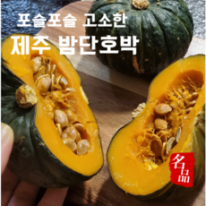 보우짱 프리미엄 제주단호박 미니 밤호박, 1박스, 2kg