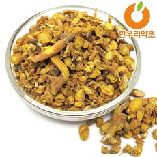 황금속썩은풀100